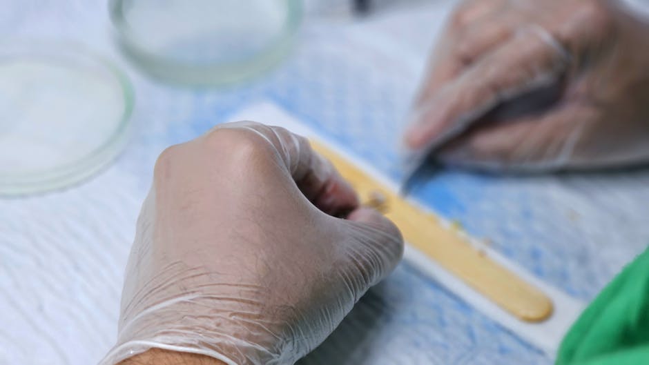detailed view of hair graft preparation during a hair transp